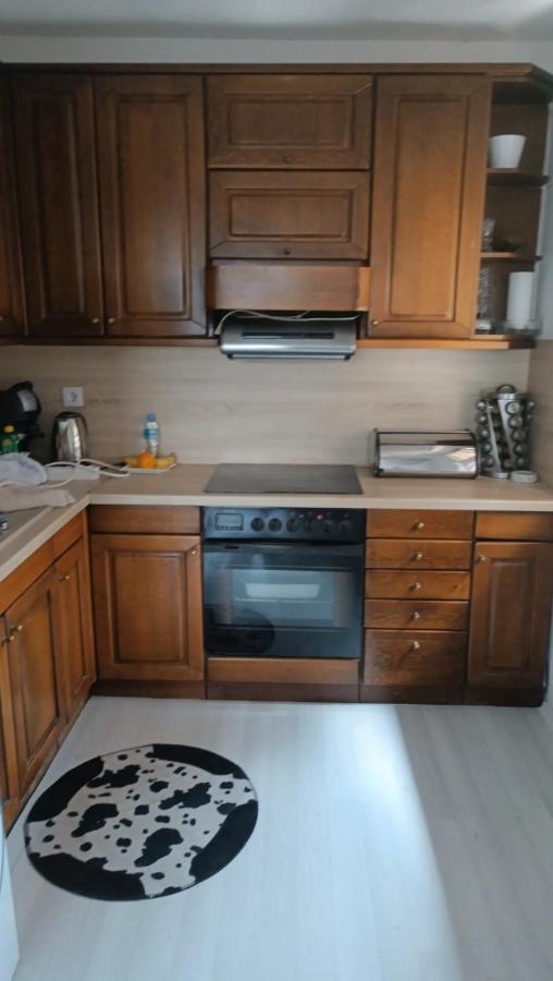 Apartment Green サラエヴォ エクステリア 写真